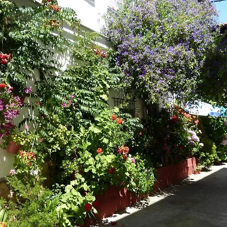 Hostal Candeleda 2*
