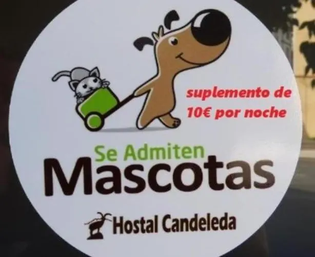 게스트하우스 Hostal Candeleda 2*