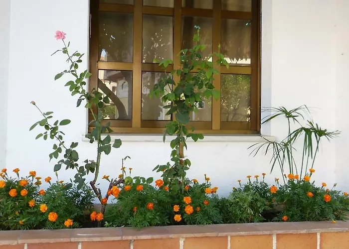 게스트하우스 Hostal Candeleda